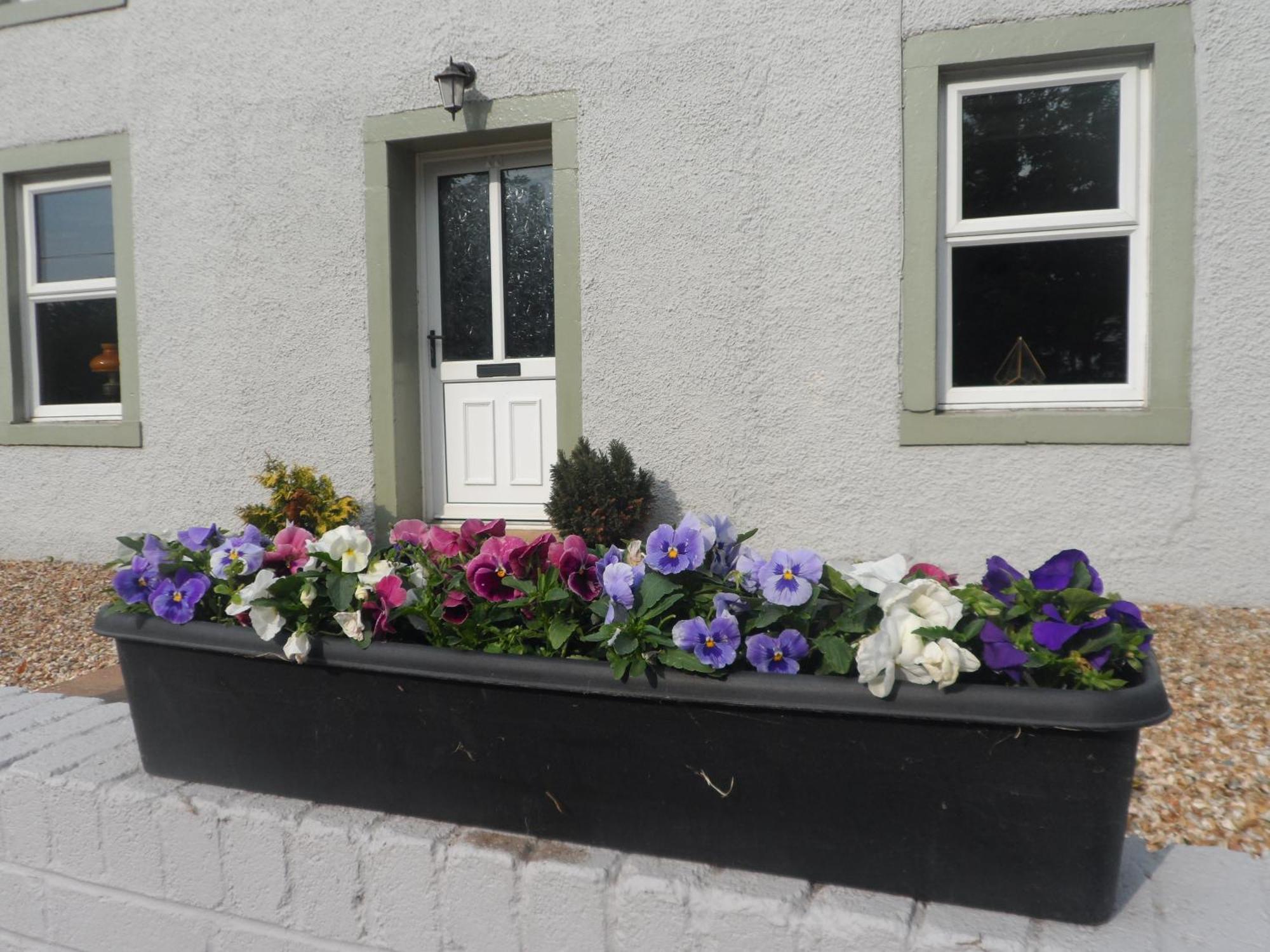 Midtown Farm Bed & Breakfast Easton (Cumbria) Exterior foto